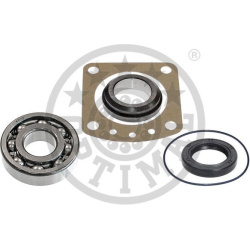 rato guolis
                                OPTIMAL                                                802454, Nenurodytas gamint