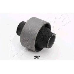 sailentblokas
                                ASHIKA                                                GOM-267, ASHIKA, GOM-267,