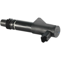 ritė, uždegimas
                                MAGNETI MARELLI                                                060717100012