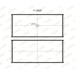 guoliai dideliu galu
                                GLYCO                                                71-3929/4 STD, GLYC