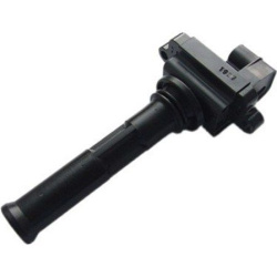 ritė, uždegimas
                                MAGNETI MARELLI                                                060717132012