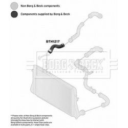 kompresoriaus padavimo žarna
                                BORG &amp; BECK                                                