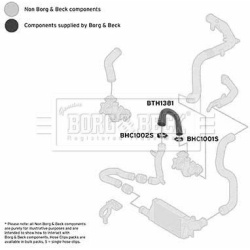 kompresoriaus padavimo žarna
                                BORG &amp; BECK                                                