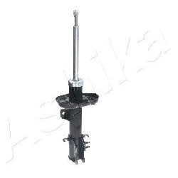 amortizatorius
                                ASHIKA                                                MA-00174, ASHIKA, MA-001