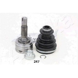 pusašio šarnyras
                                ASHIKA                                                62-02-247, ASHIKA, 6