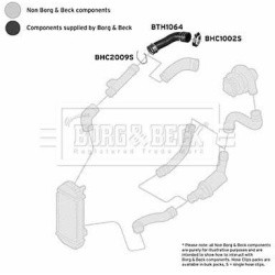 kompresoriaus padavimo žarna
BORG & BECK