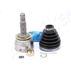 pusašio šarnyras
                                ASHIKA                                                62-0H-H01, ASHIKA, 6