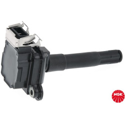 ritė, uždegimas
                                NGK                                                48008, NGK, 48008, auto 