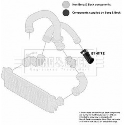 kompresoriaus padavimo žarna
                                BORG &amp; BECK                                BTH1172, Nenurod
