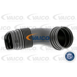 įsiurbimo kolektoriaus, oro tiekimas Q+, original equipment manufacturer quality
                                VAICO      