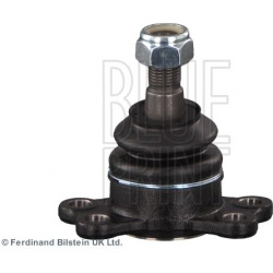 Šarnyras
                                BLUE PRINT                                                ADG086136, BLUE PRINT, AD