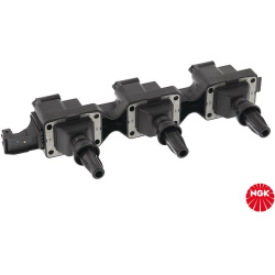 ritė, uždegimas
                                NGK                                                48075, NGK, 48075, auto 