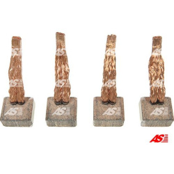 anglies šepetėlis, starteris AS
                                AS-PL                                                SB3005