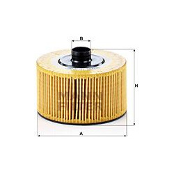 alyvos filtras
                                MANN-FILTER                                                HU 10 002 z, MANN-F