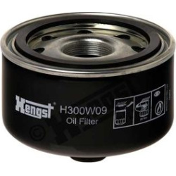 alyvos filtras
                                HENGST FILTER                                H300W09, Nenurodytas gamintojas, 