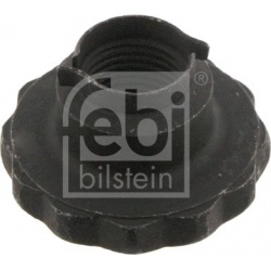 Veržlė, ašies kakliukas
                                FEBI BILSTEIN                                                32557