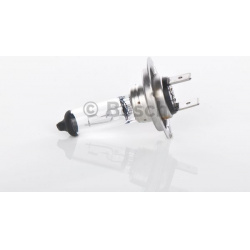 lemputė, priekinis žibintas &quot;Plus 50 WS&quot;
                                BOSCH                                1 9