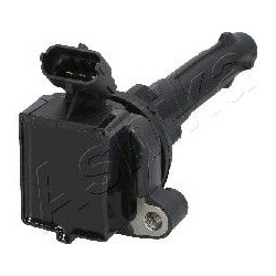 ritė, uždegimas
ASHIKA 78-02-209, ASHIKA, 78