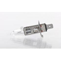 lemputė "Plus 50"
                                BOSCH                                                1 987 302 0