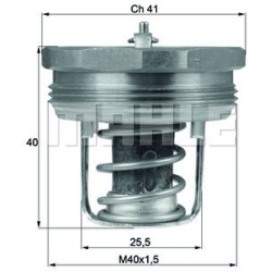 termostatas, aušinimo skystis BEHR
                                MAHLE                                                TX89