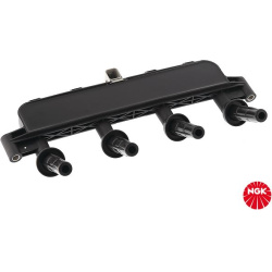 ritė, uždegimas
                                NGK                                                48016, NGK, 48016, auto 