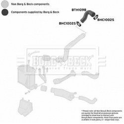 kompresoriaus padavimo žarna
                                BORG &amp; BECK                                                