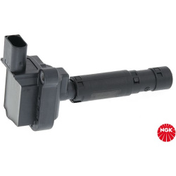Ritė, uždegimas
                                NGK                                                48131, NGK, 48131, auto 