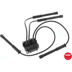 ritė, uždegimas
                                NGK                                                48007, NGK, 48007, auto 