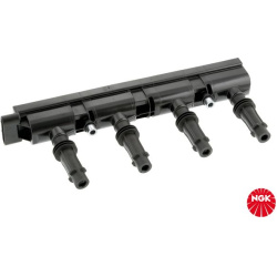 ritė, uždegimas
                                NGK                                                48404, NGK, 48404, auto 