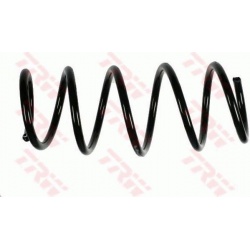 spyruoklė
TRW JCS989, TRW, JCS989, auto detal