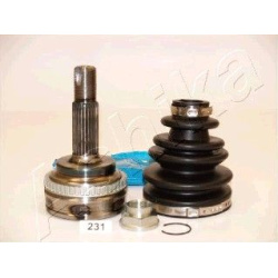 pusašio šarnyras
                                ASHIKA                                                62-02-231, ASHIKA, 6