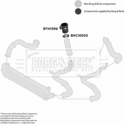 kompresoriaus padavimo žarna
                                BORG &amp; BECK                                                