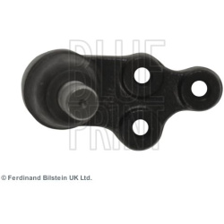 Šarnyras
                                BLUE PRINT                                                ADG086137, BLUE PRINT, AD