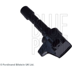 ritė, uždegimas
BLUE PRINT ADH21487, BLUE PR