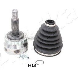 pusašio šarnyras
                                ASHIKA                                                62-0H-H13, ASHIKA, 6