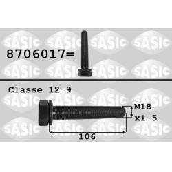 skriemulio varžtas
                                SASIC                                                8706017, Nenurodytas