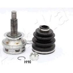 pusašio šarnyras
                                ASHIKA                                                62-0H-H10, ASHIKA, 6