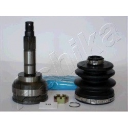 pusašio šarnyras
                                ASHIKA                                                62-07-713, ASHIKA, 6