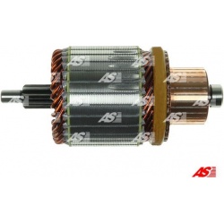 ankeris, starteris AS
                                AS-PL                                                SA2010, AS-PL, SA2