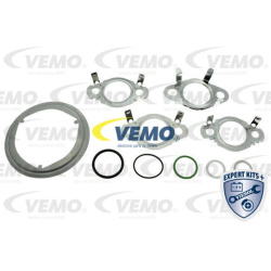 tarpiklių rinkinys, AGR sistema EXPERT KITS +
                                VEMO                                          