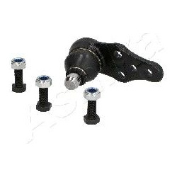 Šarnyras
                                ASHIKA                                                73-0C-C03, ASHIKA, 73-0C-C03,