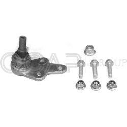 Šarnyras
                                OCAP                                                0403135, Nenurodytas gamintojas