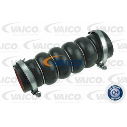 kompresoriaus padavimo žarna Q+, original equipment manufacturer quality
                                VAICO              