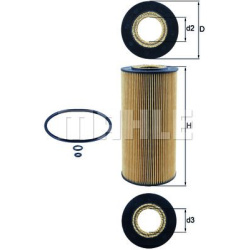 alyvos filtras
                                KNECHT                                OX1231D, KNECHT, OX1231D, auto detalė