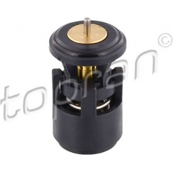 termostatas, aušinimo skystis
                                TOPRAN                                                100616, 