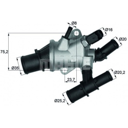 termostatas, aušinimo skystis BEHR
                                MAHLE                                                TI16