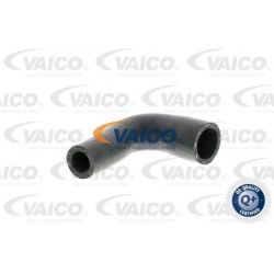 Aušinimo vamzdis, žarna
                                VAICO                                                V302250, Nenur