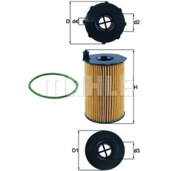 alyvos filtras
                                KNECHT                                                OX420D, KNECHT, OX420D, 