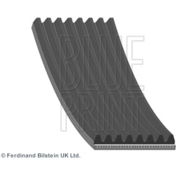 V formos rumbuoti diržai
                                BLUE PRINT                                                AD08R1355