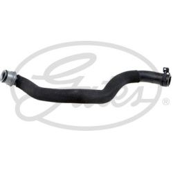 šildytuvo žarnelė
                                GATES                                                02-1811, GATES, 02-